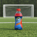 AA Drink Pro Energy (24x33cl)